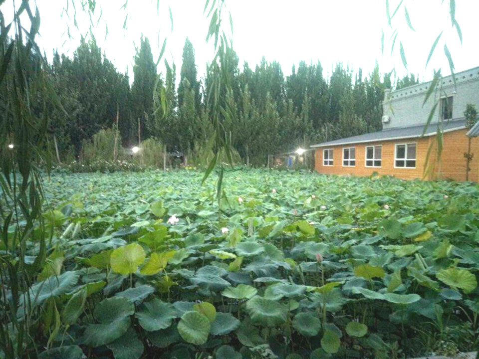 1528699280129388.jpg 2.jpg